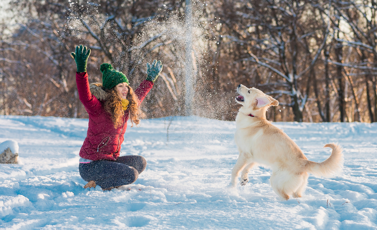 Urlaubstipps für Ihren Winterurlaub und Skiurlaub mit Hund.